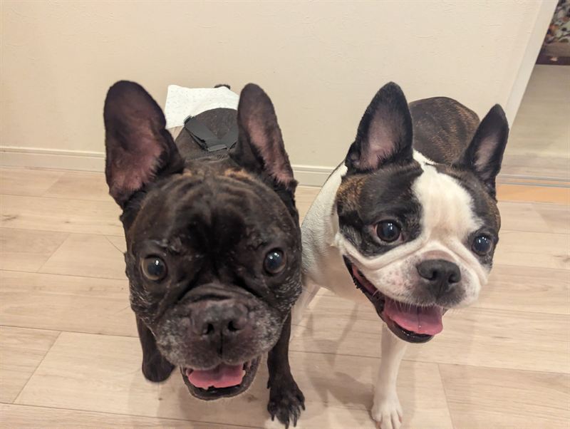 Gunso and Ponsuke smiling side by side