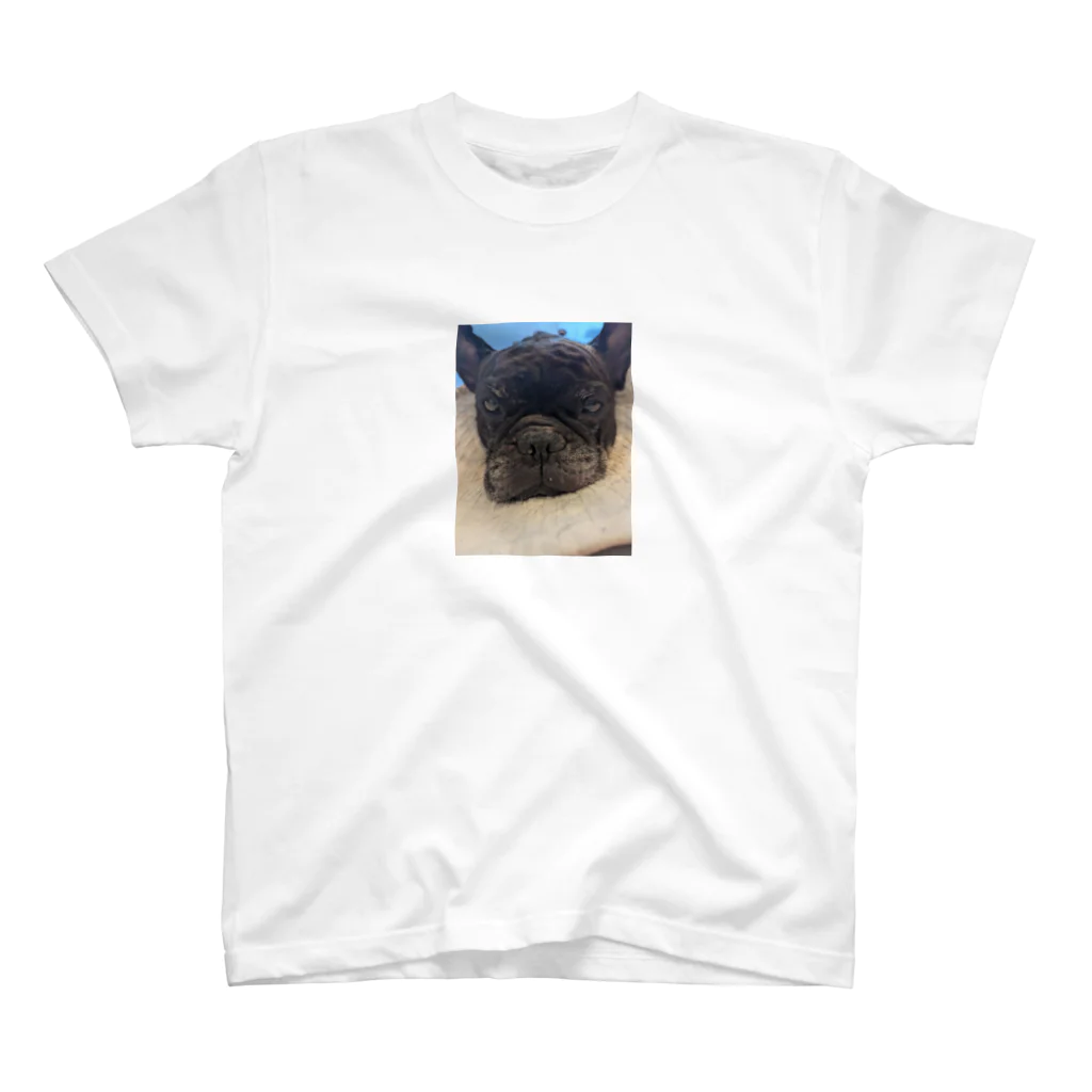 Standard t-shirt with the Gunso Big Face photo print on the chest
